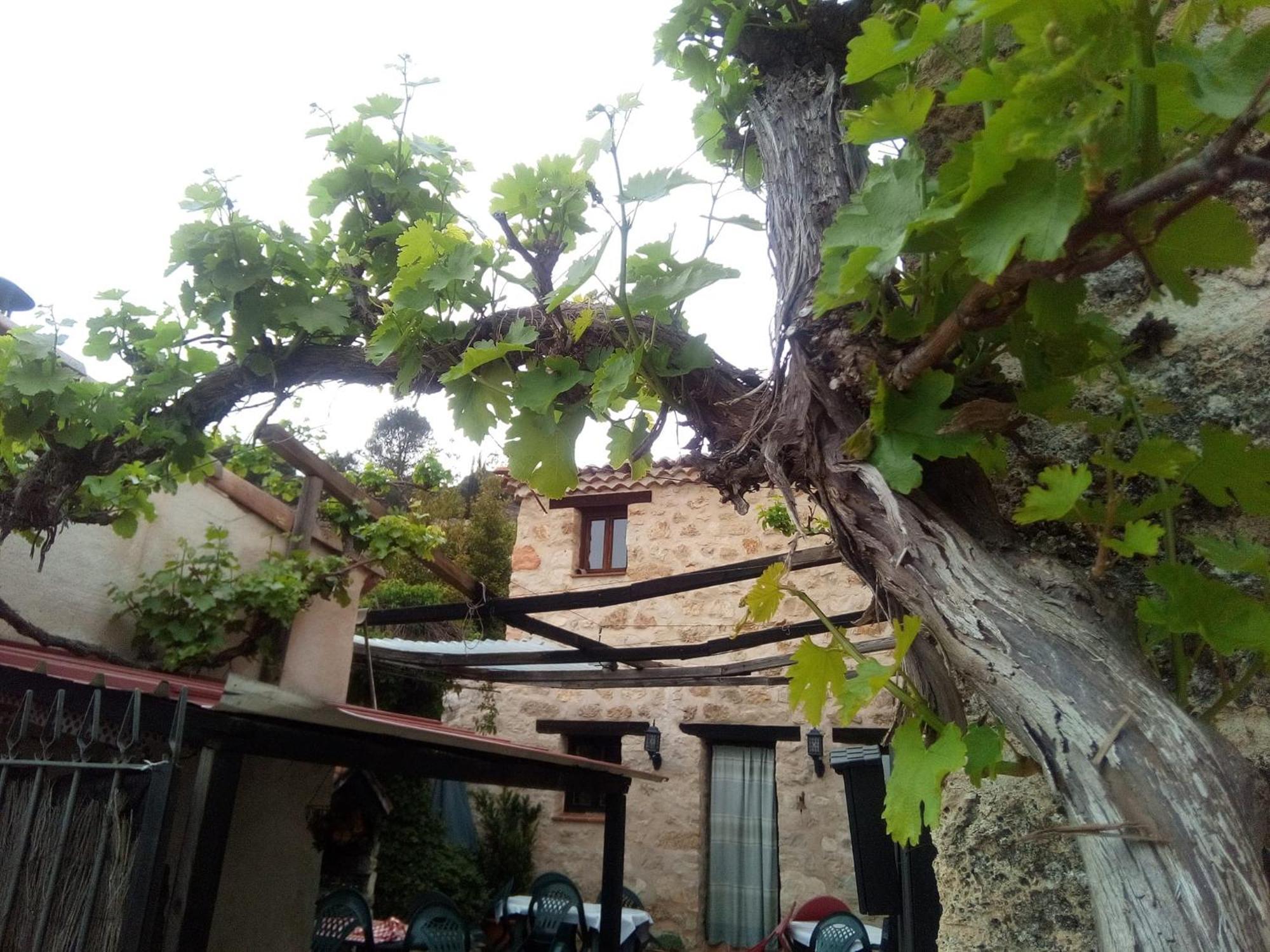 Posada Del Dulce Sueno Mojares Luaran gambar